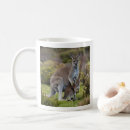 Recherche de kangourou tasses Joey