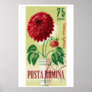 Recherche de fleurs de dahlia posters Illustration vintage