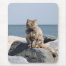 Recherche de bord la mer tapis souris Photographie