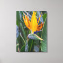 Recherche de paradis impressions sur toile Fleur