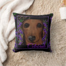 Recherche de petits chiens coussins Dachshund