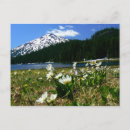 Recherche de bachelors cartes postales Lac