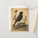 Recherche de oiseau rouge cartes postales Goth