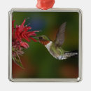 Recherche de rubis ornements Colibri
