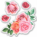 Recherche de bouquet roses autocollants Aquarelle