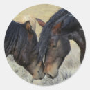 Recherche de chevaux sauvages autocollants Étalon