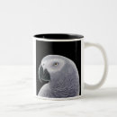 Recherche de perroquet gris tasses Perroquets