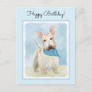 Recherche de scottish terrier cartes postales Écossais