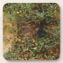 Recherche de lierre dessous de verres Nature