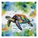 Recherche de tortue de mer posters Marine