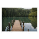 Recherche de forêt de pin posters Nature