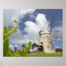 Recherche de vieux moulin posters Palmier