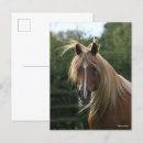 Recherche de headshot cartes postales Tête
