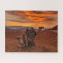 Recherche de camel puzzles Paysage