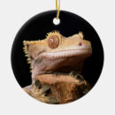 Recherche de cameleon ornements Exotique