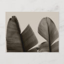 Recherche de abstrait noir et blanc cartes postales Pour tous