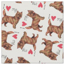 Recherche de cairn J'aime mon cairn terrier