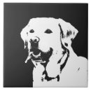 Recherche de extracteur carreaux Chien