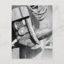 Recherche de cow photographie Vintage