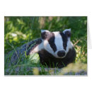 Recherche de blaireau cartes postales Vert