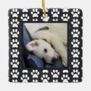 Recherche de chiot ornements Nom