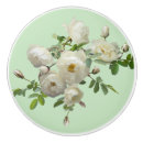 Recherche de arrière plan vert boutons et poignées de porte Botanique