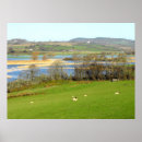 Recherche de inondation posters Paysage