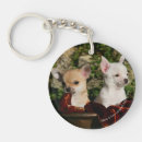 Recherche de plomb porteclés 7 semaines