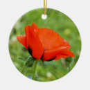 Recherche de poppy ornements Botanique