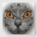 Recherche de ambre horloges Gris