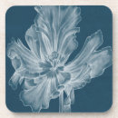 Recherche de tulipe dessous de verres Botanique