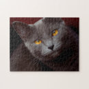Recherche de portrait animal puzzles Chat