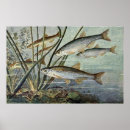 Recherche de monde sous marin posters Nature