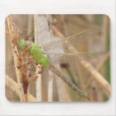 Recherche de dragon vert tapis souris Libellules