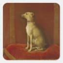 Recherche de petit levrier autocollants Chien