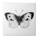 Recherche de papillon blanc carreaux Illustration