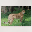 Recherche de guépards puzzles Animaux