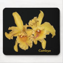 Recherche de orchidee mousepads Jaune