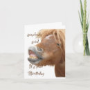 Recherche de drôle cheval anniversaire cartes humour