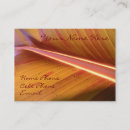 Recherche de points grandes cartes visite Nature