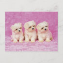 Recherche de comportement cartes postales Ensemble