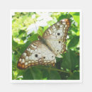 Recherche de jasmin serviettes Fleur