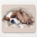 Recherche de cavalier king charles tapis souris Animal de compagnie