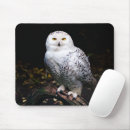 Recherche de bird mousepads Owl