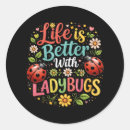 Recherche de scarabées autocollants Coccinelles
