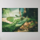 Recherche de près de posters Regarder