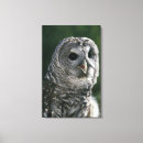Recherche de toile rayée Animal