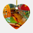 Recherche de conducteur photographie Oiseaux