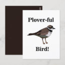Recherche de pluvier cartes postales Oiseau
