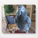 Recherche de perroquets tapis souris Animal de compagnie